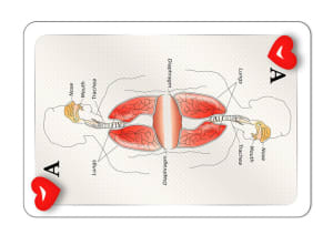 Playing Card Design Depicting Respiration